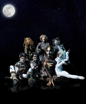 CATS PERSONAJES cats personajes: