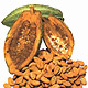 El cacao