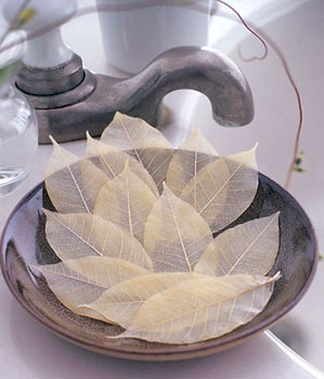 Soap Leaves