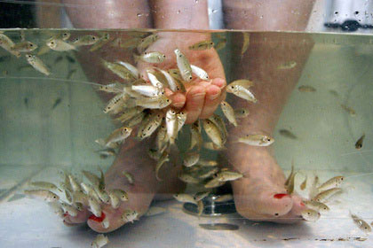 Fish Pedicure